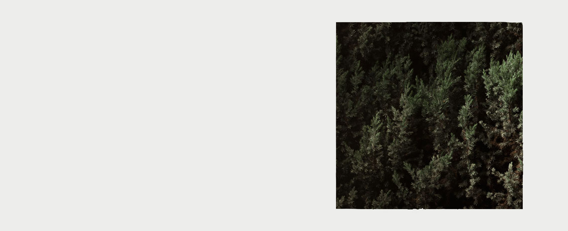parallax background